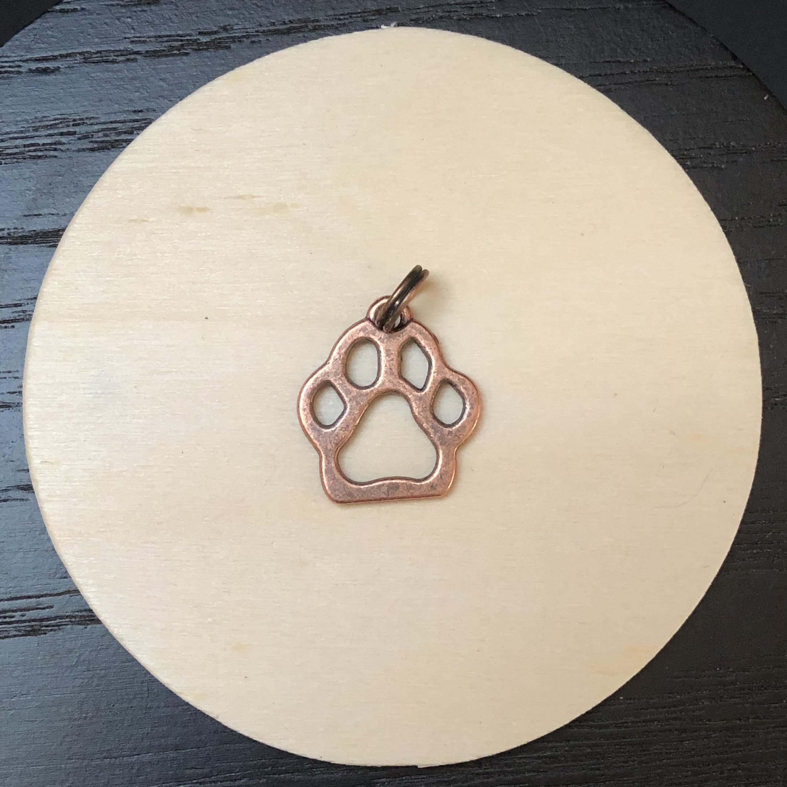 Big Cat Paw Charm bronze