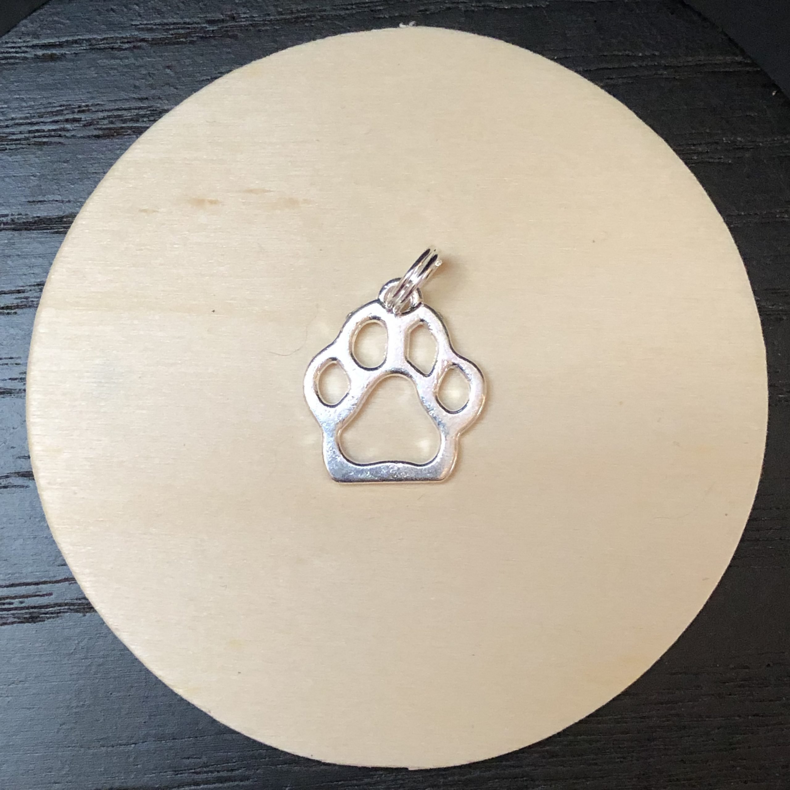 Big Cat Paw Charm silver