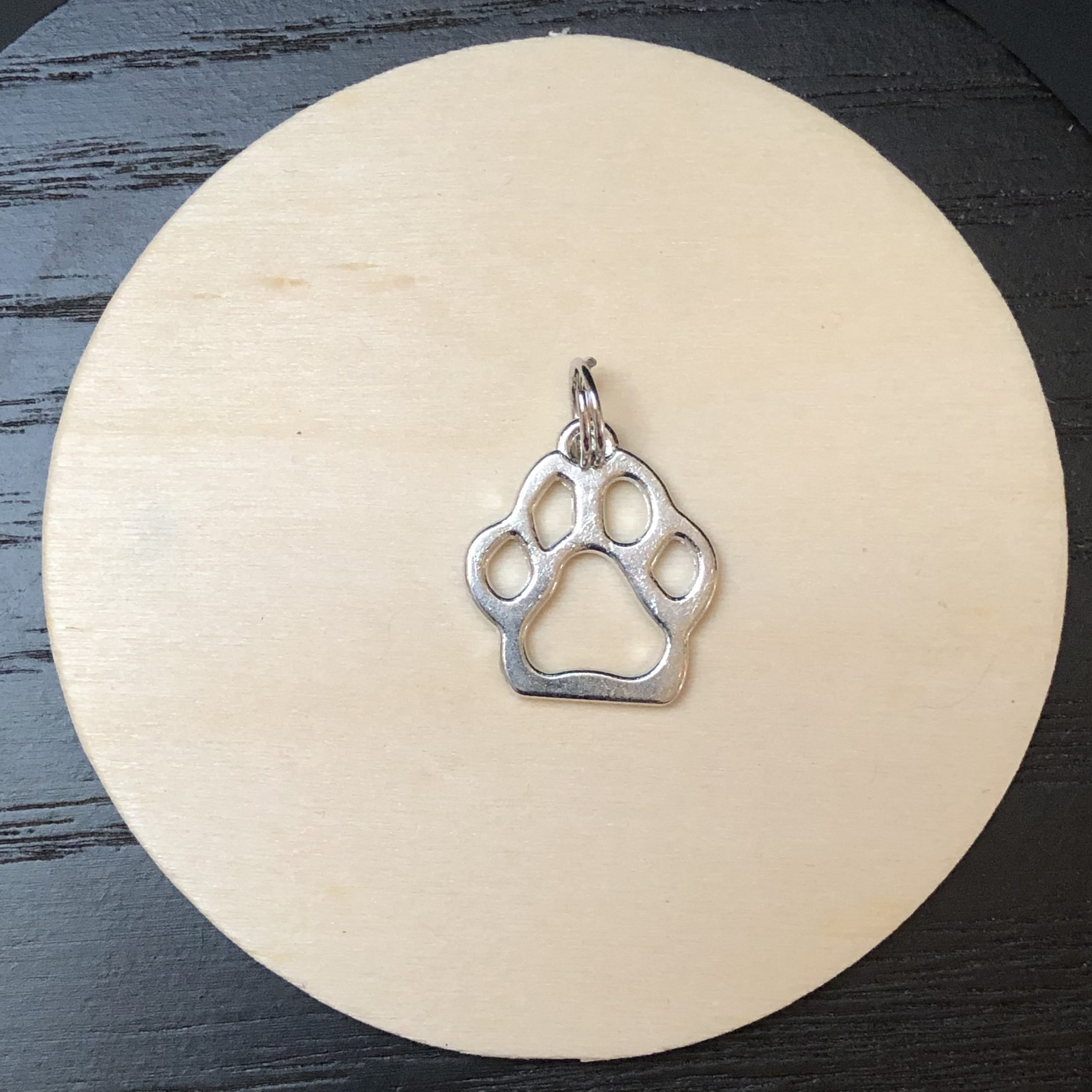 Big Cat Paw Charm steel