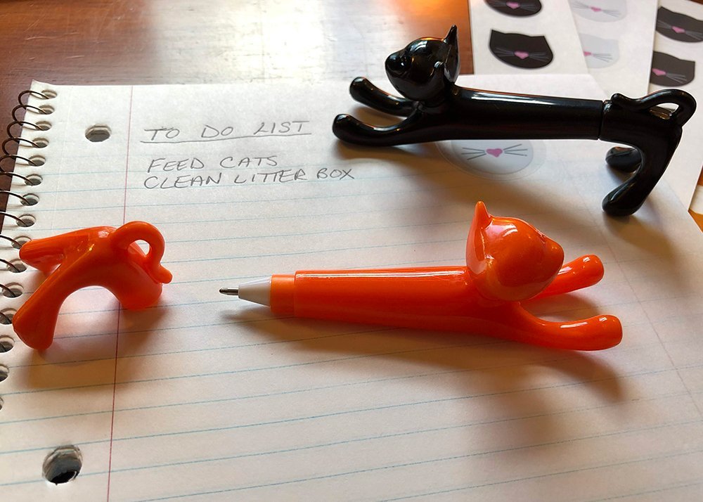 Downward Facing Cat Pen