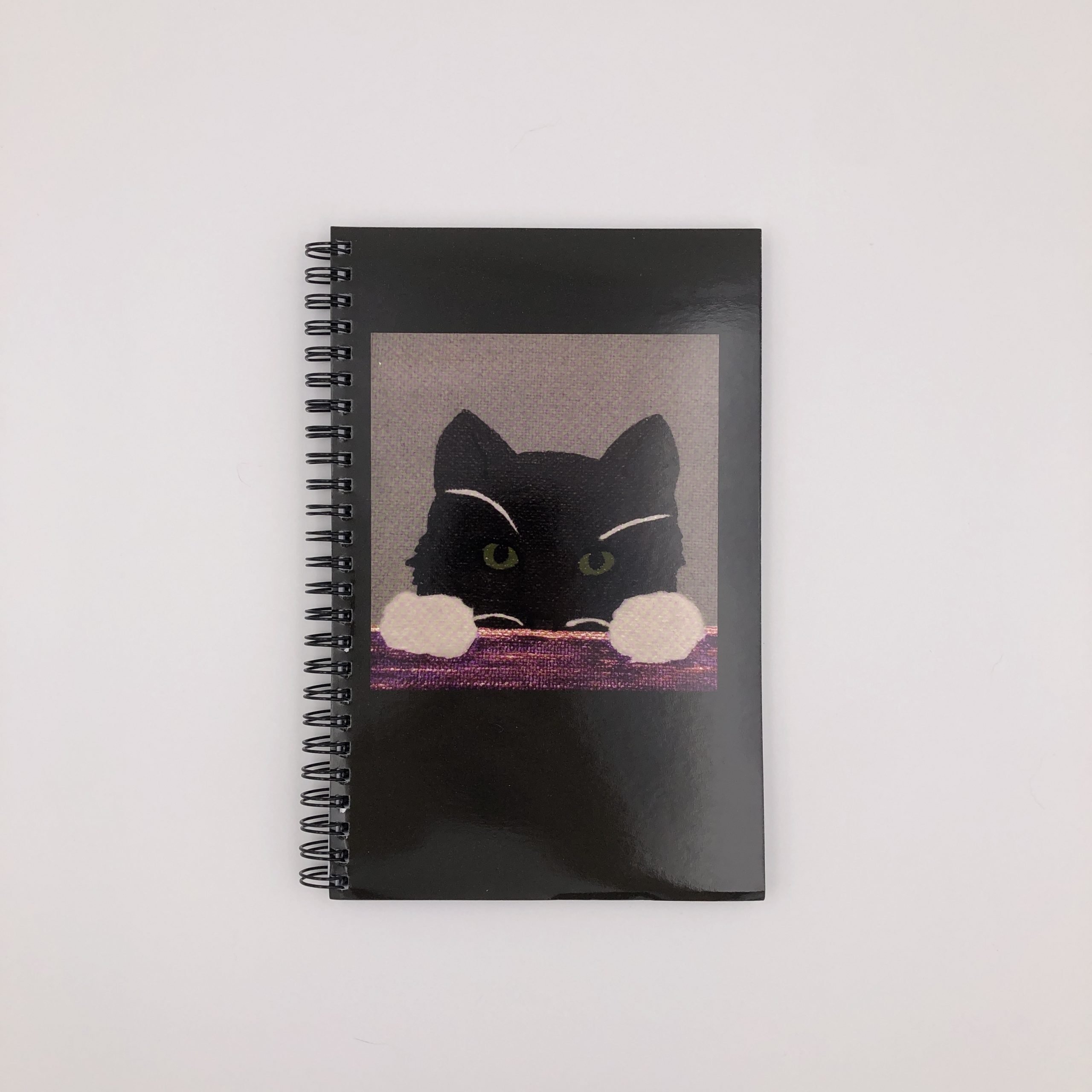 Merlin notebook